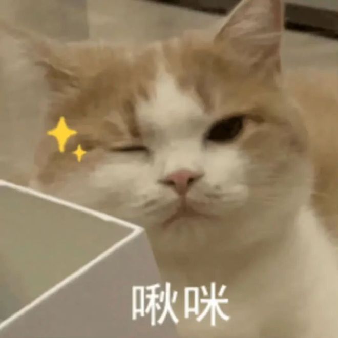 E句话| 工作室辟谣他俩恋情？