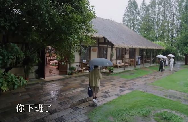 《向往》收视创新低！仅剩0.19%越看越丧气，节目氛围遭吐槽
