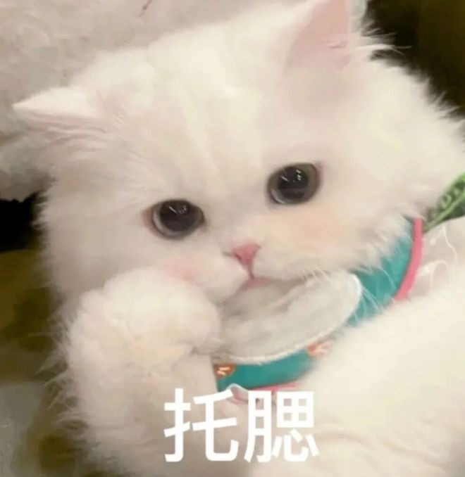 E句话| 他也宣布退圈了？
