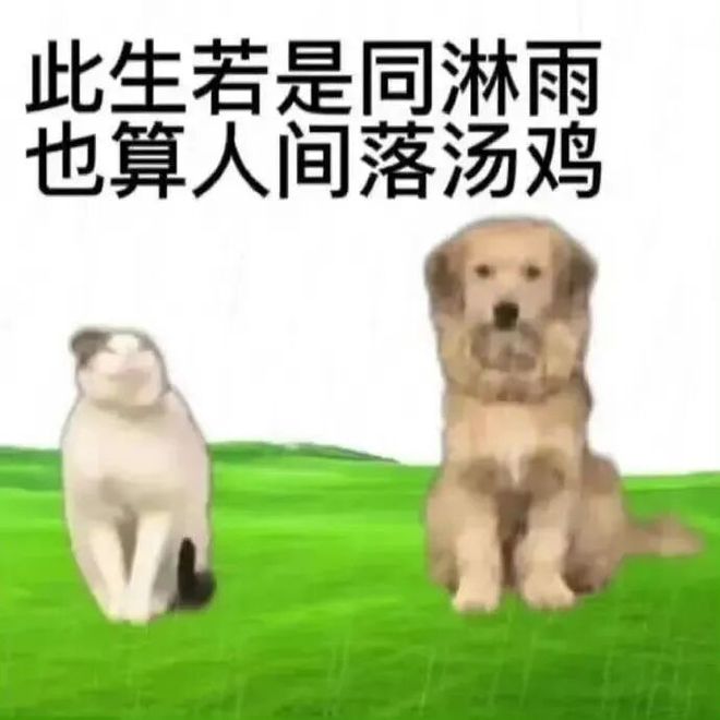 E句话| 他也宣布退圈了？
