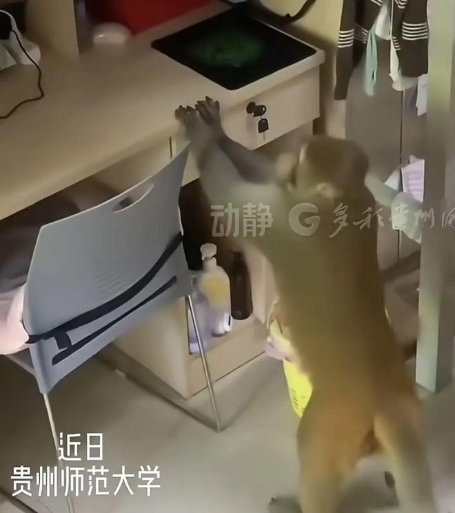 E句话| 他也宣布退圈了？