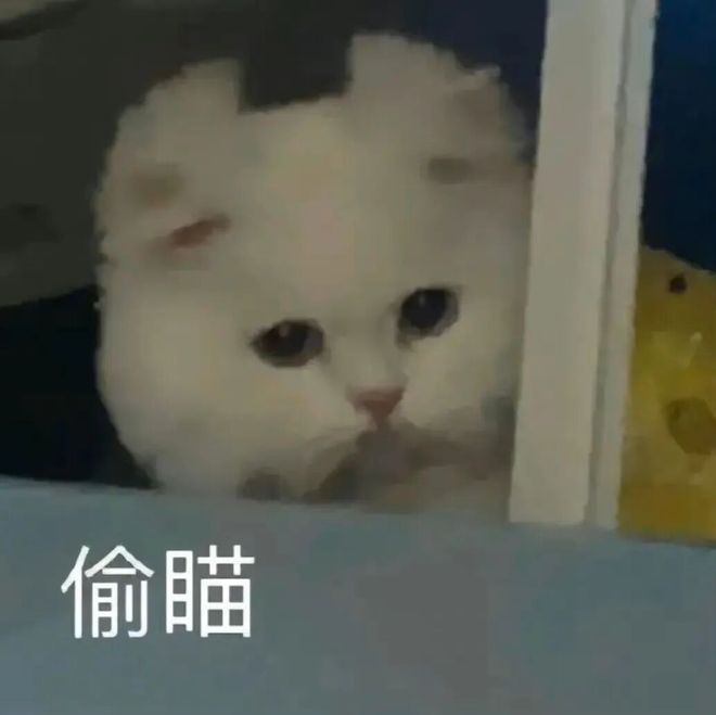 E句话看天下| 阮经天交往小20岁女友？