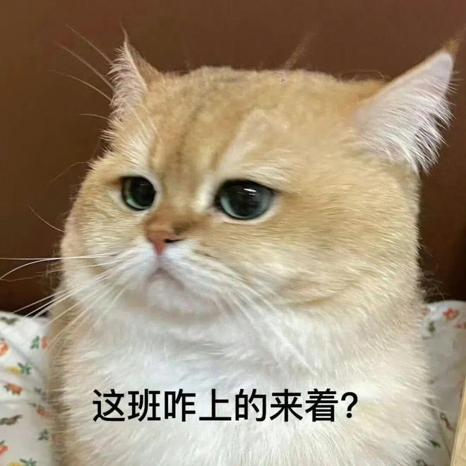 E句话看天下| 阮经天交往小20岁女友？