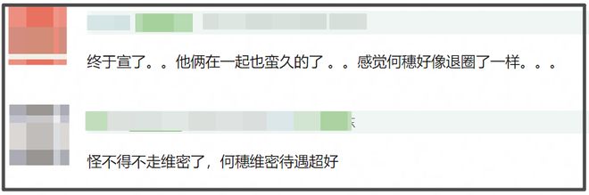 何穗孕照被扒！和陈伟霆一举得男，超模都偏爱港男，生娃不办婚礼