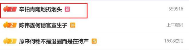 狗仔曝辛柏青与友人聚会开心大笑，乱扔烟头，网友：狗仔用心不良