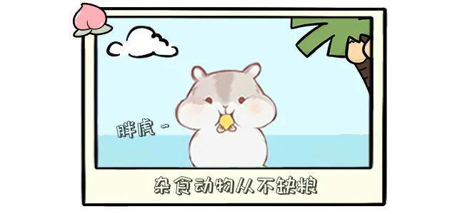 范丞丞：谁都可以拥有“浪浪人生”｜主创很桃气Vol.78
