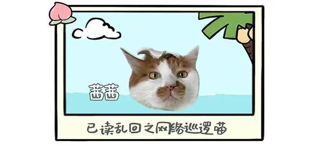 范丞丞：谁都可以拥有“浪浪人生”｜主创很桃气Vol.78