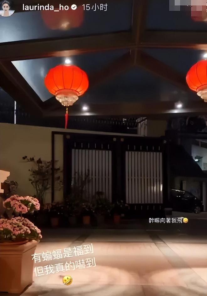 窦骁婚变升级！何超莲被曝已有新欢，两人结婚没领证，窦骁亏惨了