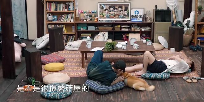 《向往》口碑翻车！官方以嘉宾清闲为豪，网友吐槽明星赚钱太容易