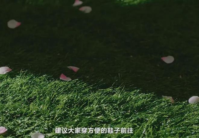 《VOGUE》杂志内涵明星！势利眼、抢压轴，热巴杨幂隔空躺枪