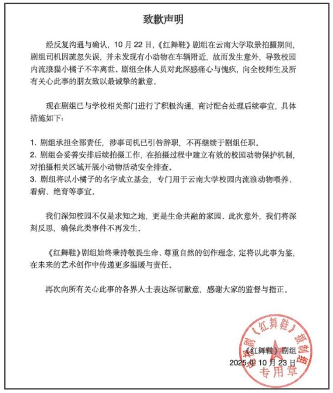 《红舞鞋》风波升级！用脚踩烈士纪念碑还撞死猫，劣迹斑斑遭抵制