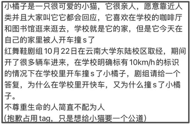 《红舞鞋》风波升级！用脚踩烈士纪念碑还撞死猫，劣迹斑斑遭抵制
