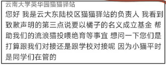 《红舞鞋》风波升级！用脚踩烈士纪念碑还撞死猫，劣迹斑斑遭抵制