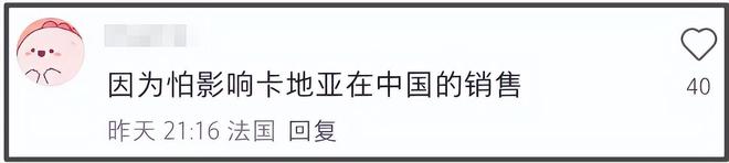 蔡国强烟花遭法国人抗议，现场嘘声一片，官方被抵制商业活动取消