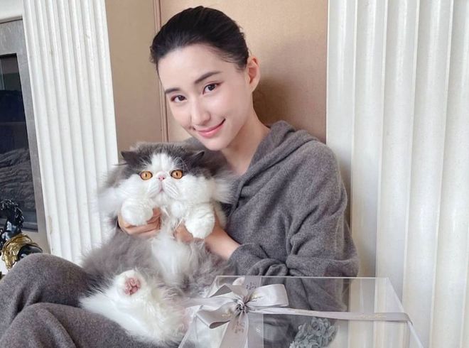 港媒曝光何超莲家中资产分配，签不签婚前协议，窦骁都捞不到好处
