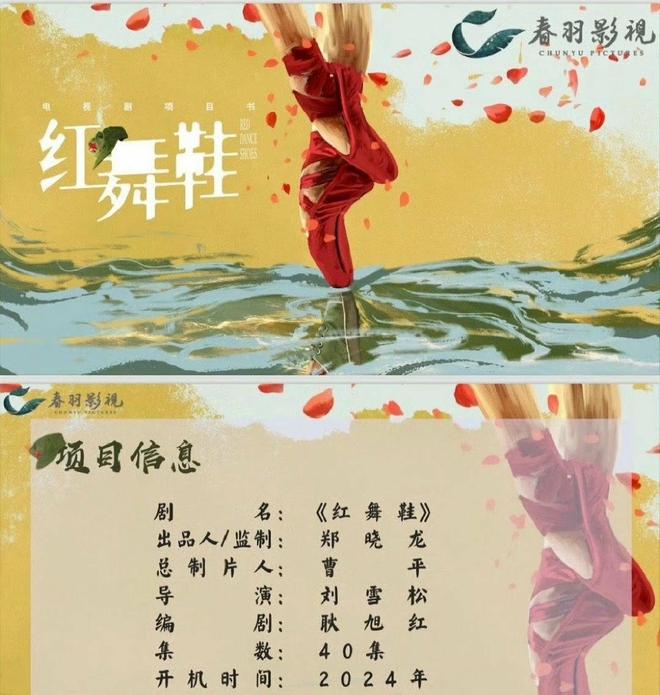 红舞鞋剧组司机超速，高校网红猫被撞死，女主角周也遭无妄之灾