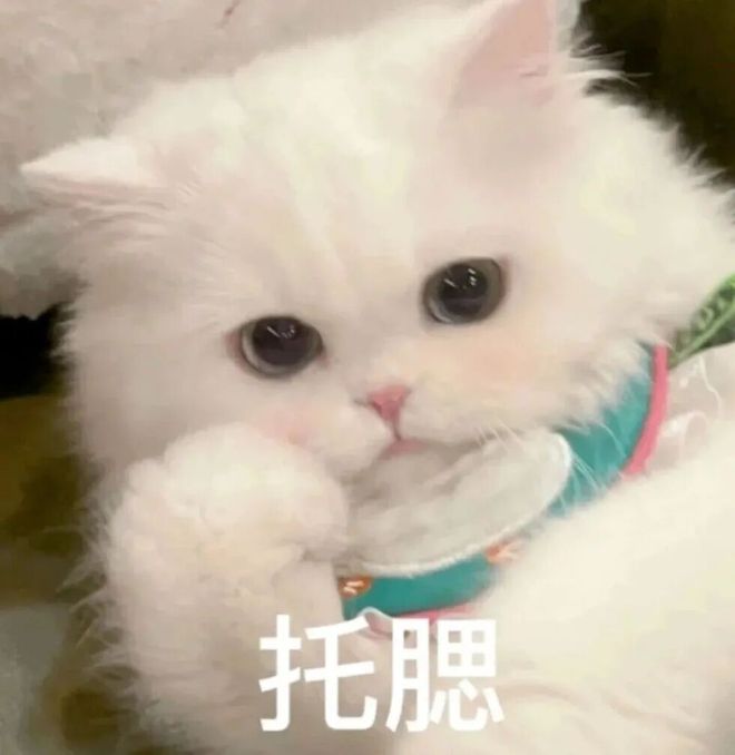 E句话| 女明星站个C位就要被封杀？