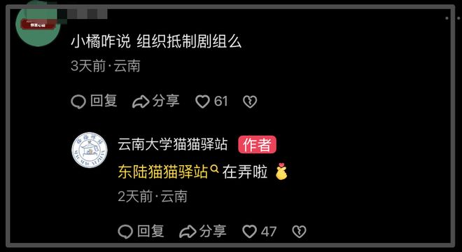 《红舞鞋》官微删除道歉信，司机还挑衅网友：猫也没人疼戏照样拍