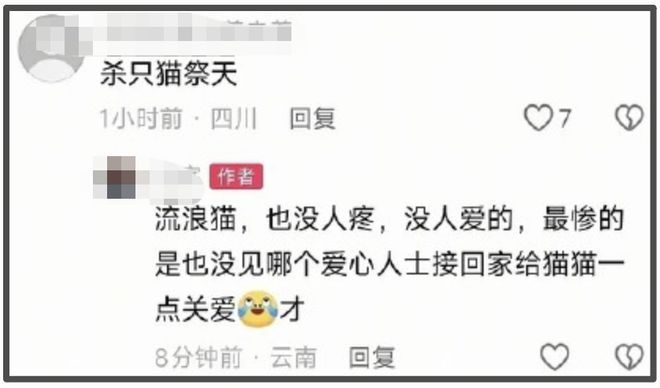 《红舞鞋》官微删除道歉信，司机还挑衅网友：猫也没人疼戏照样拍