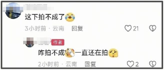 《红舞鞋》官微删除道歉信，司机还挑衅网友：猫也没人疼戏照样拍