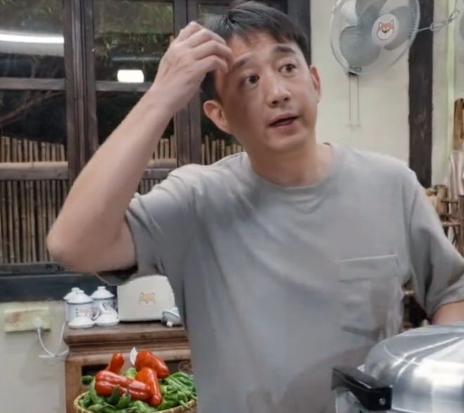 《向往》收视回暖！黄磊动手做饭，明星干了农活，可惜已经晚了