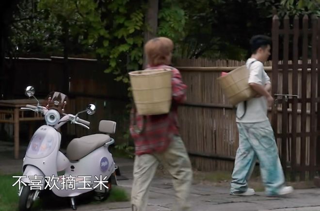 《向往》收视回暖！黄磊动手做饭，明星干了农活，可惜已经晚了