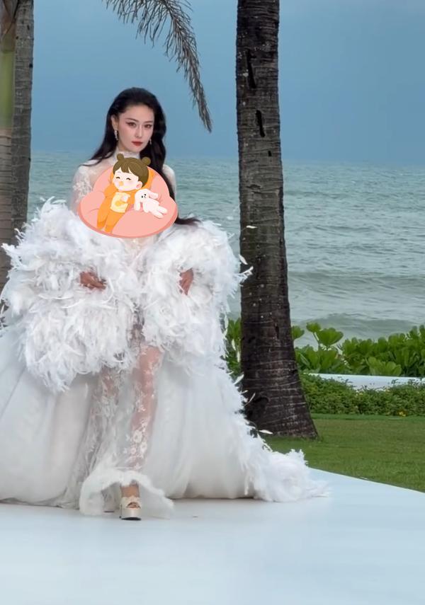 红毯看点多！代露娃摔3次，沈佳润走过头，张予曦被吹成“海胆”