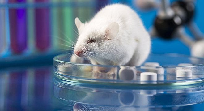 李连杰最神秘的“干妈”