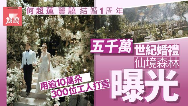 向太否认爆料窦骁何超莲婚变，直言没有指名道姓，投诉自媒体造谣