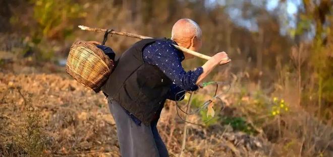 郑智化不能被理解，揭示了一个底层机制