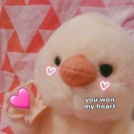 E句话| 他们将补办婚礼？