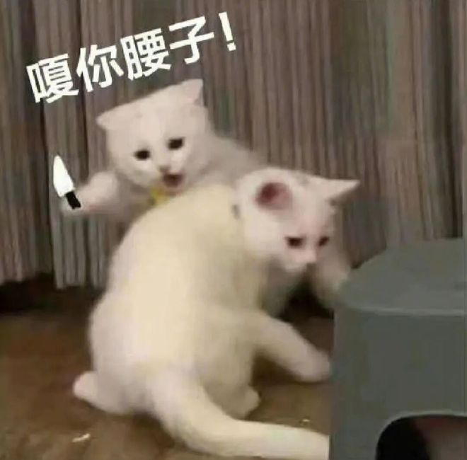 E句话| 他们将补办婚礼？