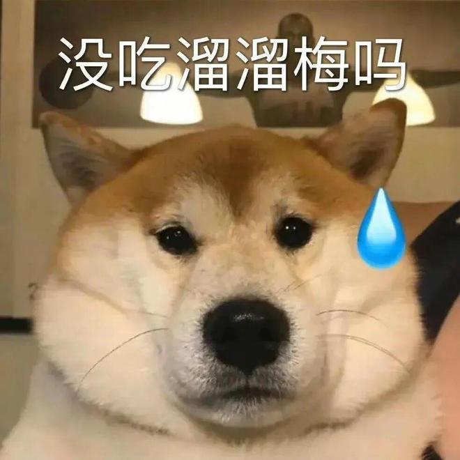 E句话| 他们将补办婚礼？