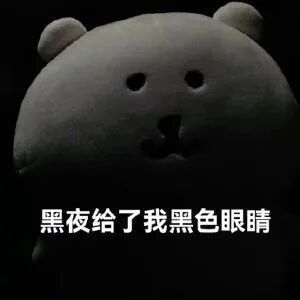 E句话| 他们将补办婚礼？