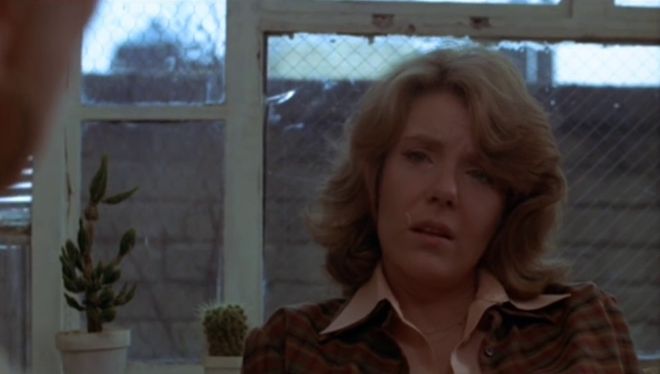 这部新好莱坞的重要代表作，被忽视了