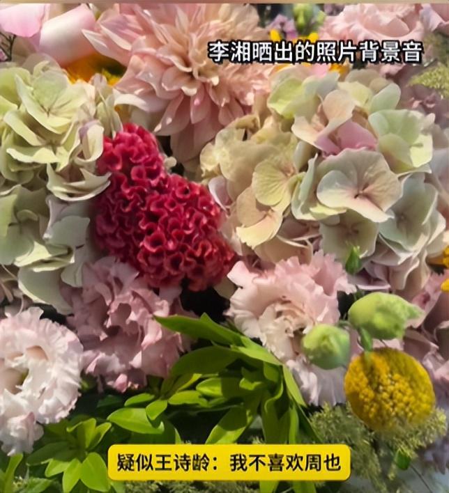 王诗龄评论区沦陷！蛐蛐周也遭到粉丝讨伐，李湘删博重发不道歉
