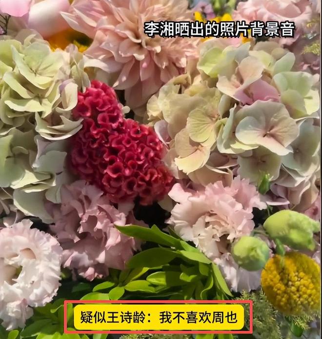 太尴尬！李湘晒图暴露王诗龄背后蛐蛐周也，被发现后连忙上线删除