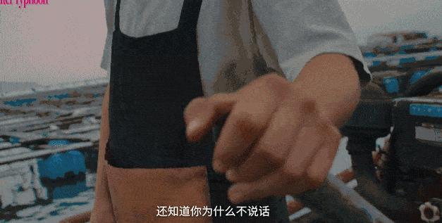 张子枫张伟丽，谁说只会「打拳」 女性议题引发热议