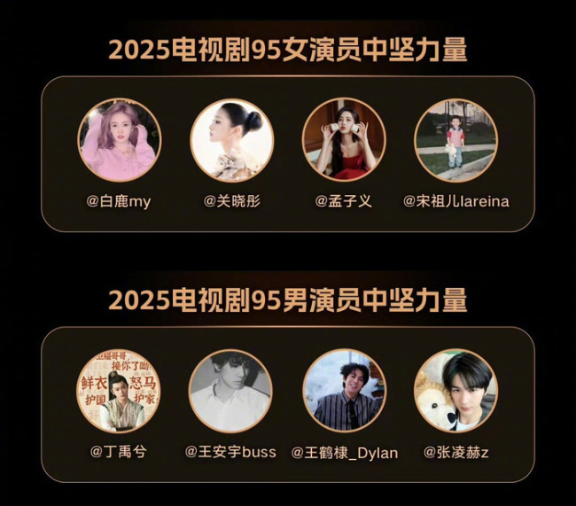 2025电视剧演员中坚力量 90/95/00后新星揭晓