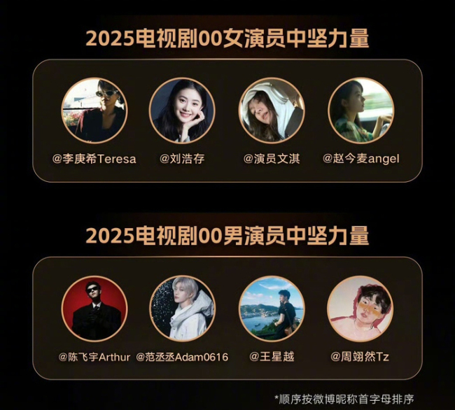 2025电视剧演员中坚力量 90/95/00后新星揭晓