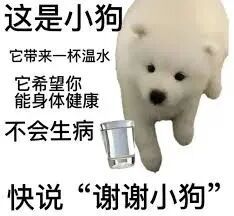 E句话| 这对邪门CP又是哪里来的？