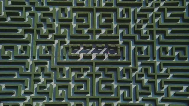 金对库布里克的怀疑，有道理吗？