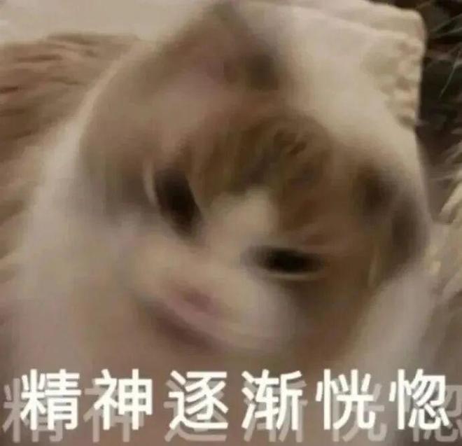 E句话| 这对邪门CP又是哪里来的？