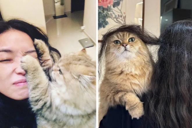 预定年度十佳！49岁的舒淇，杀疯了