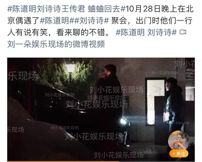王家卫秦雯录音后续：陈道明刘诗诗聚餐，不受蛐蛐影响有说有笑