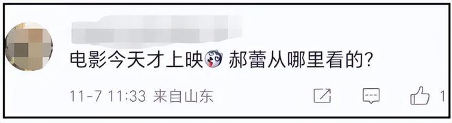 《日掛中天》首波口碑！剧情被质疑渲染苦难，辛芷蕾演技获肯定