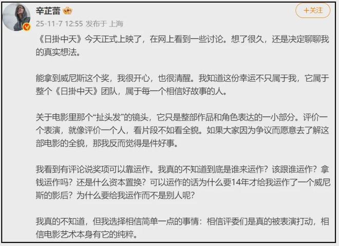 《日掛中天》首波口碑！剧情被质疑渲染苦难，辛芷蕾演技获肯定