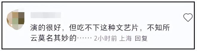 《日掛中天》首波口碑！剧情被质疑渲染苦难，辛芷蕾演技获肯定