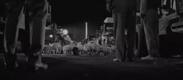 两夺金棕榈，亚洲没别人了