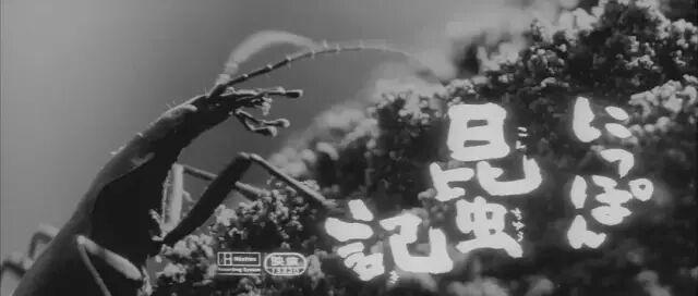 两夺金棕榈，亚洲没别人了